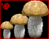 !@ Animated mushroom
