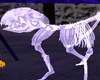 [kyh]dead cat skeleton