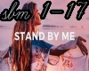 stand by me remix