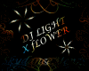 DJ Light X Flower