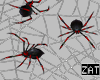 Spiders Webs