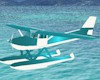 (T) Sea Plane