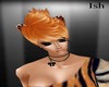 Orange Cat Hair