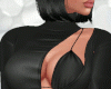 Xia bundle v1