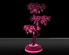 Love pink plant