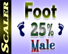 Foot Resizer 25%