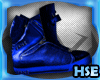 HSE|MB blue vanz kicks