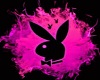 CARPET PLAYBOY