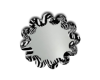 Zebra Mirror V2