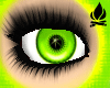 ~Lime Eyes~