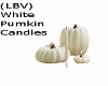 (LBV) White Pumpkin Cand