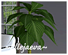 Villa Luxury Leafy Plant