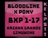 K♥ Bloodline x Pony