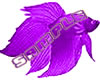 PurpleFish-FR