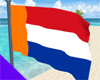 New Dutch Flag