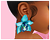 Orchd. Earring 01.