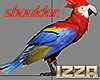 🦜 Parrot Queen
