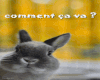♫ 𝐋 C C V 26 ♫