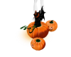 Cat On Pumpkin