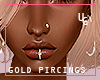 S.Gold Pircings *UG