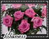 Darque Pink Roses