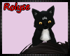 RL/ Black Head Kitty