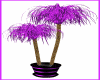 SM Purple Palm Tree