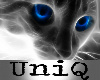 UniQ Design Blu Eyes Cat