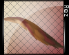 .:R:. Jewel Tail