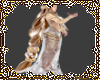 *NPC Fairy