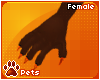 [Pets] Saber | claws