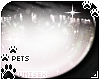 [Pets] Cass | eyes v1
