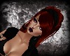 sassie