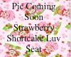Strawberry Luv Seat