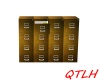 QTLH Custom File Cabinet