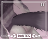 -D- | Kai Tail 2