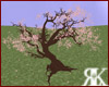 [K] Sakura Tree