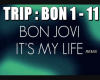 Bon Jovi It s My Life