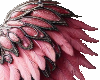 pink angel wings
