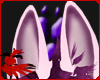 Amore Wolf Ears v2