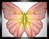 :P: SOULMATE BUTTERFLIES