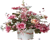(G) Roses + white basket