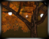 Autumn Tree/ Bench 2