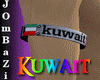 [Jo]Right Arm_kuwait
