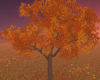E* Autumn Tree