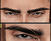 𝔰. Wilker Brows