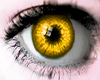 Femo Eye Yellow 2