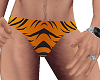Tiger Boxer