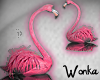 W° Flamingos Swimming