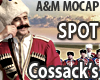 Cossacks' Folk Dance SPT